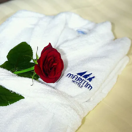 ホテル Maritim ウルム